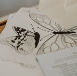 Painted Lady Butterfly Kit-6
