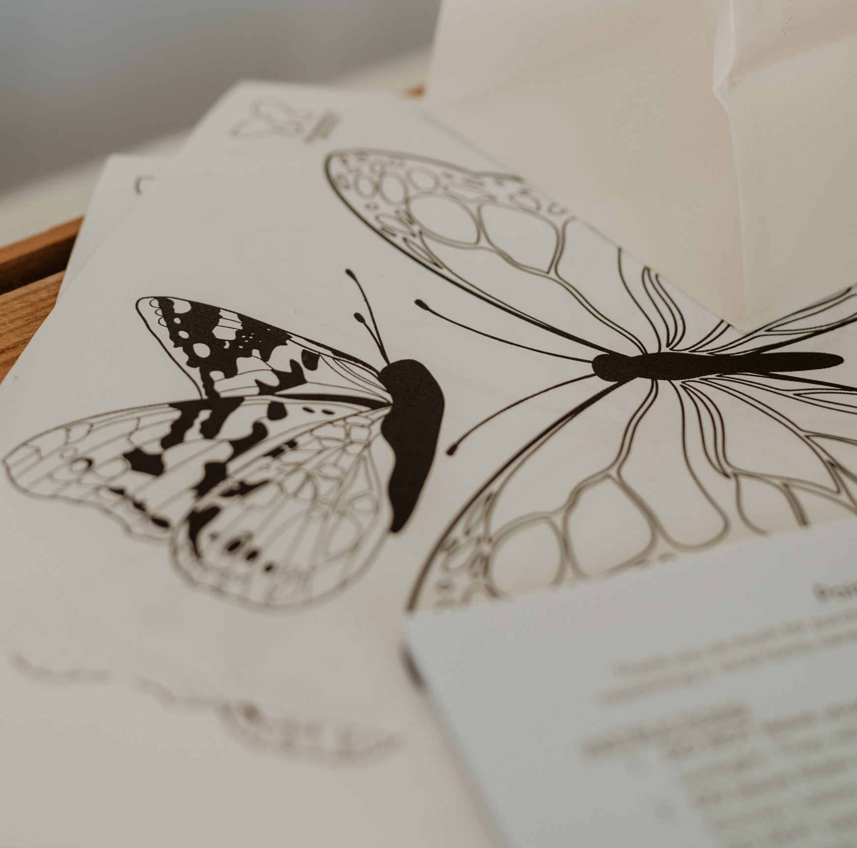 Painted Lady Butterfly Kit-6