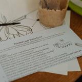 Painted Lady Butterfly Kit-5