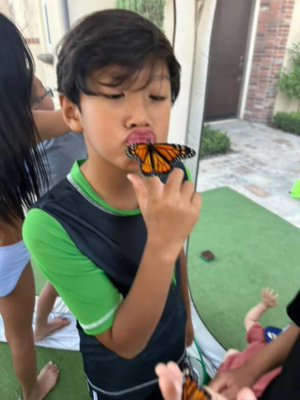 Nose-to-wing with a monarch