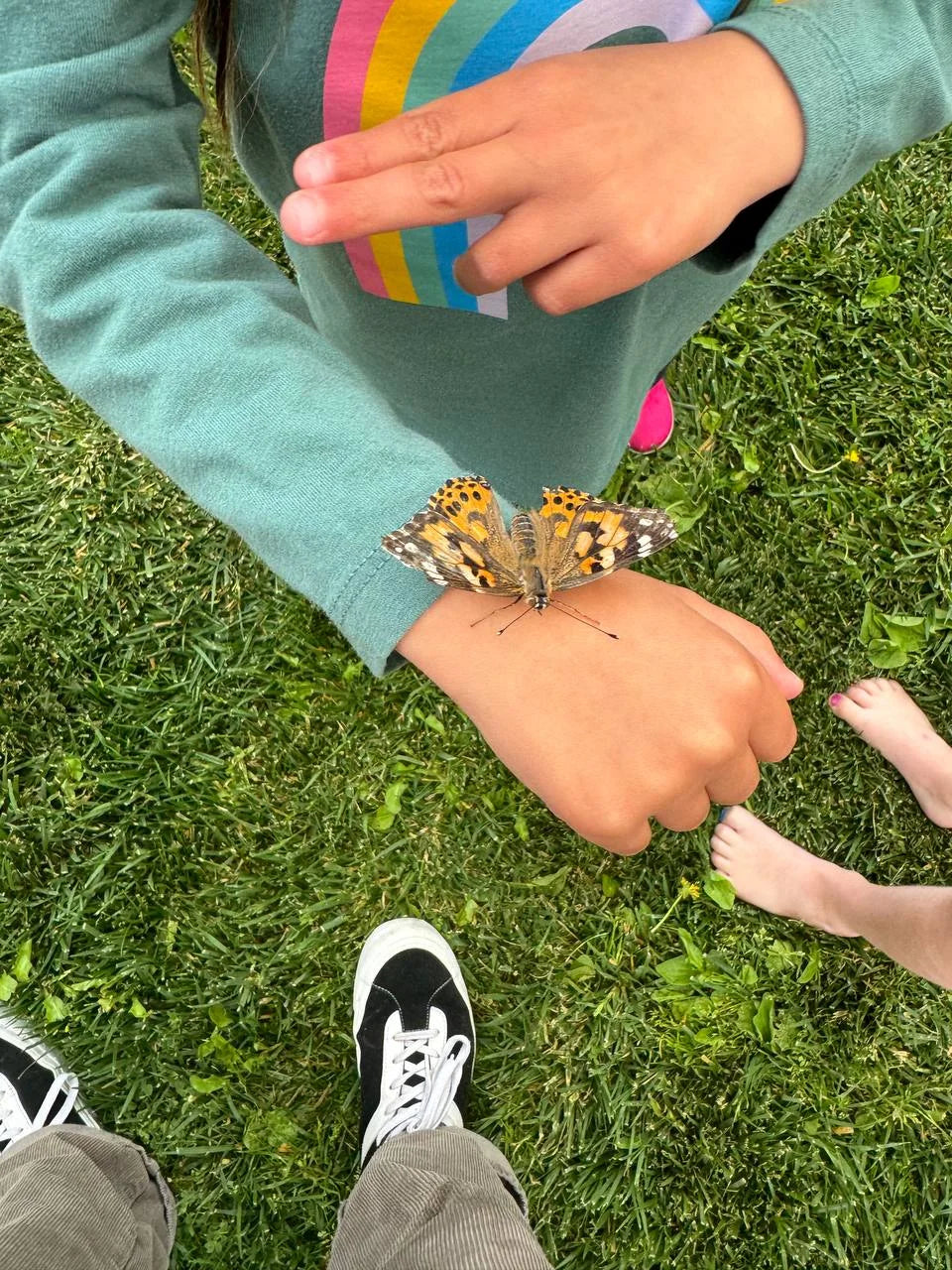 A painted lady on a small wrist