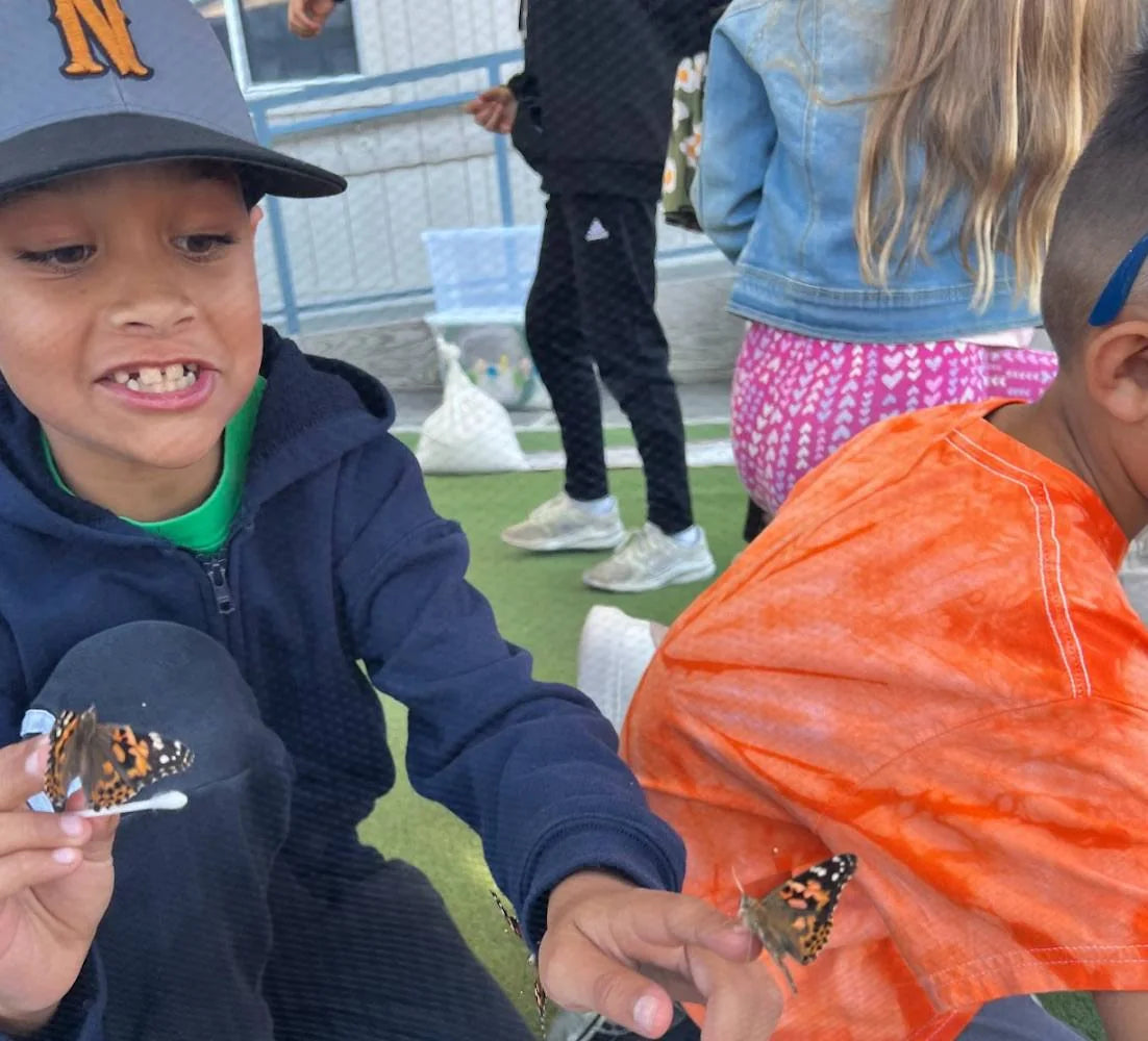 A grinning boy with a painted lady on a cotton swab