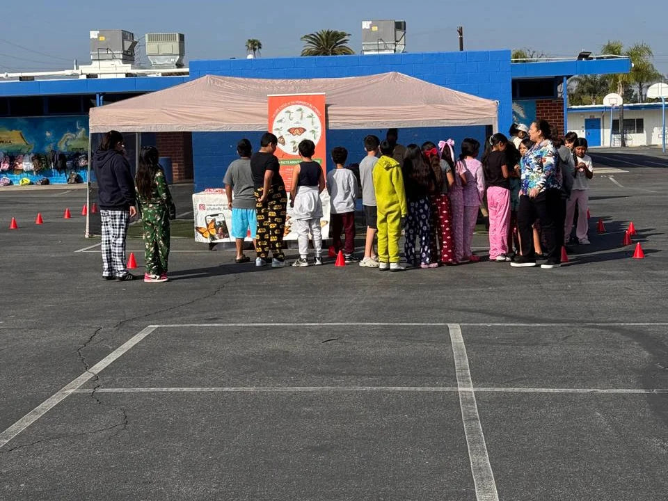 FlutterBy Ranch butterfly exhibit at a school event, students gathered at the monarch life-cycle display