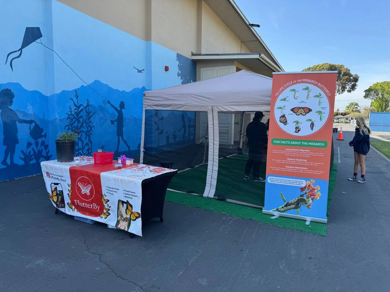 The table and monarch life-cycle banner beside a schoolyard mural