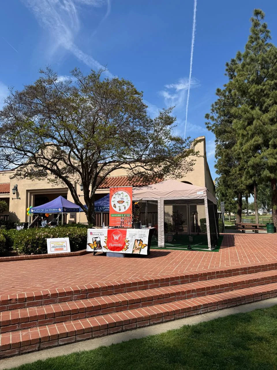 The dome and banner outside a Spanish-style civic building