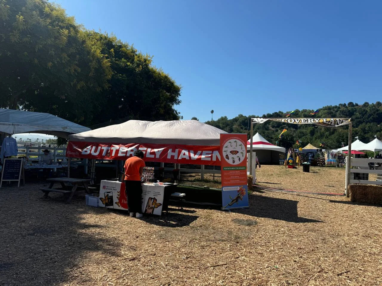 The Butterfly Haven tent at an outdoor fall festival