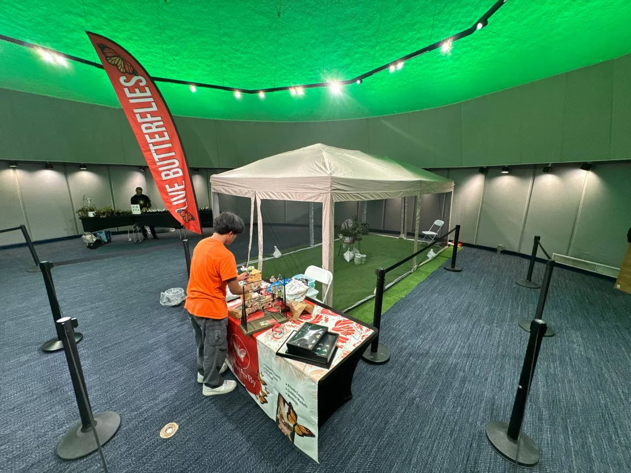 The dome set up indoors, beneath a green-lit domed ceiling