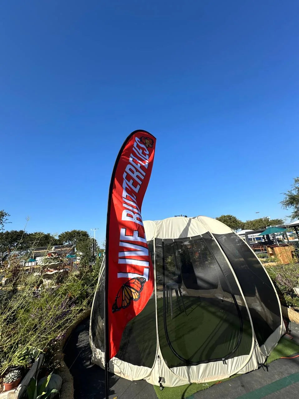 The Live Butterflies flag beside the dome at an outdoor market