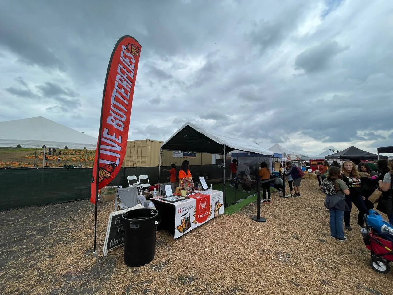 The booth at a pumpkin-patch fall festival, Live Butterflies flag flying